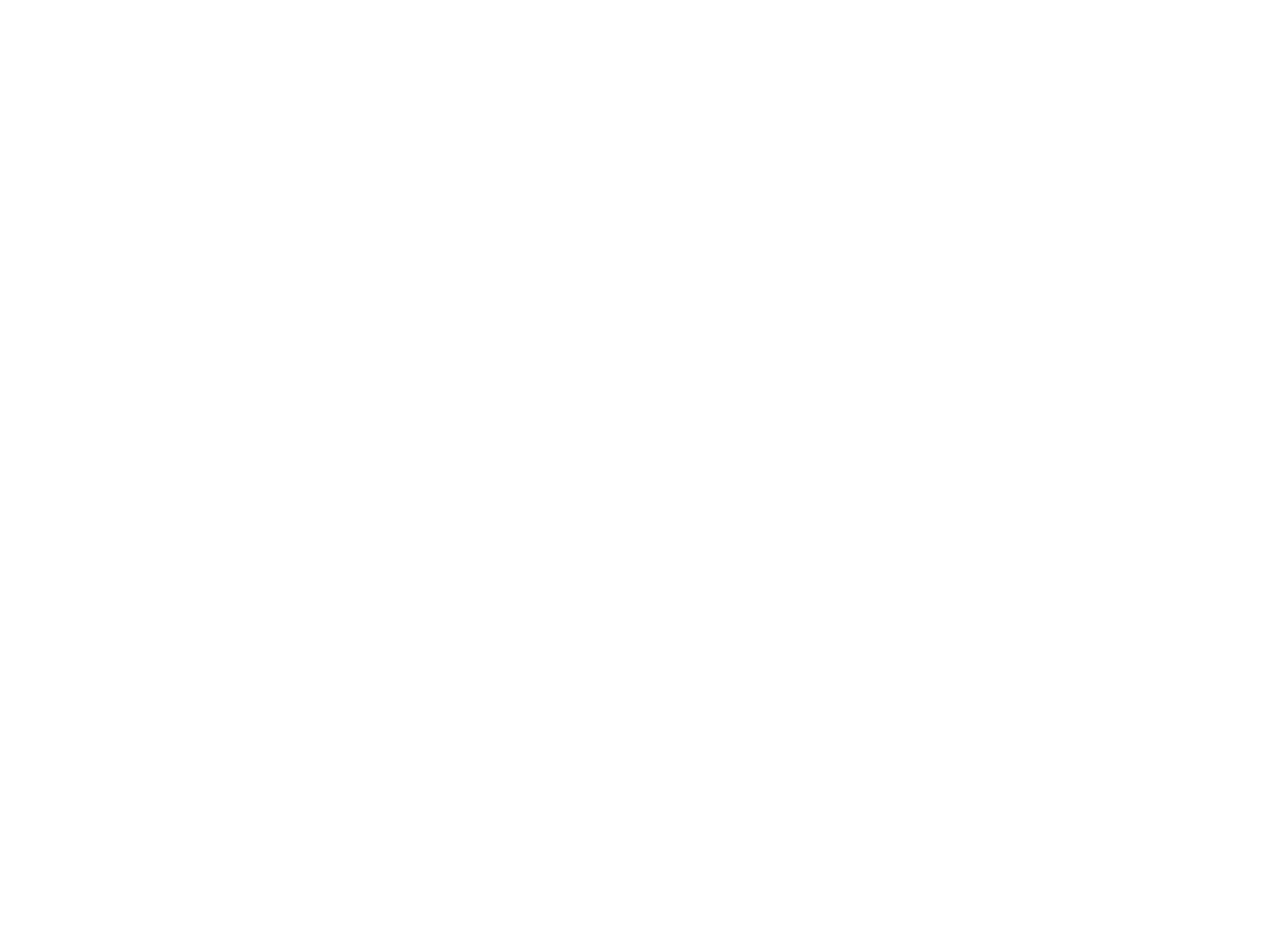 Toro Strategic